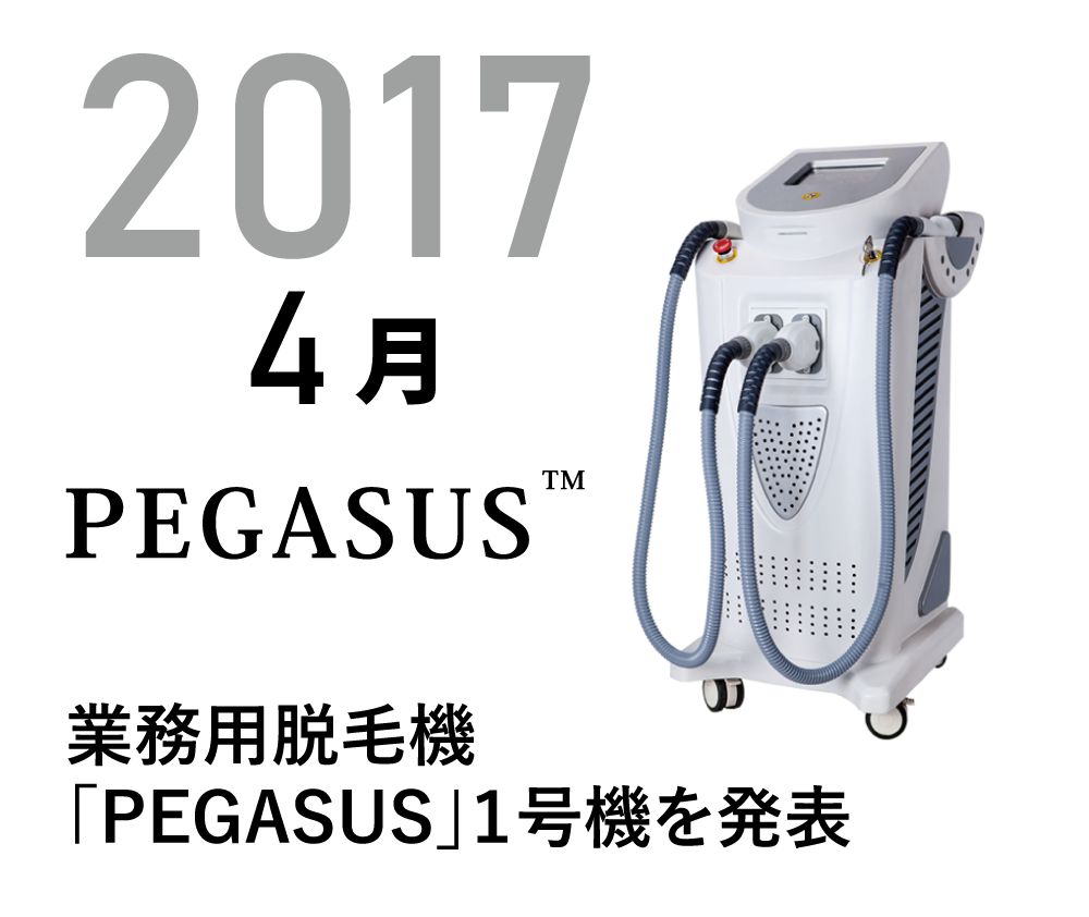 13.2017.PEGASUS.1号機