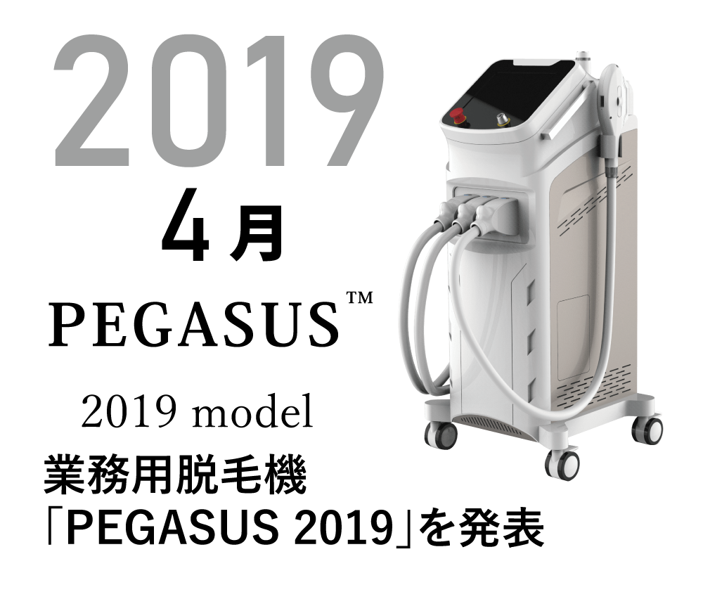 13.2019.PEGASUI2019