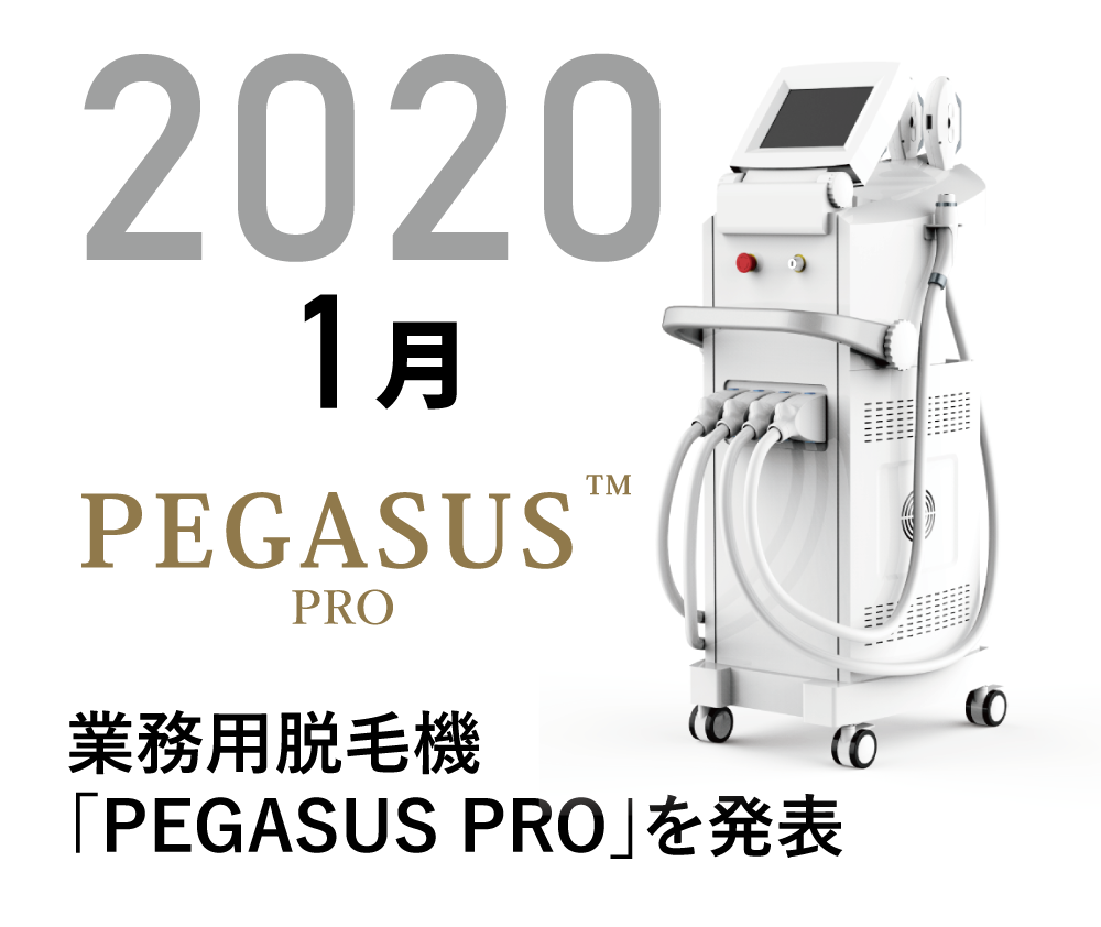 13.2020.PEGASUS-PRO
