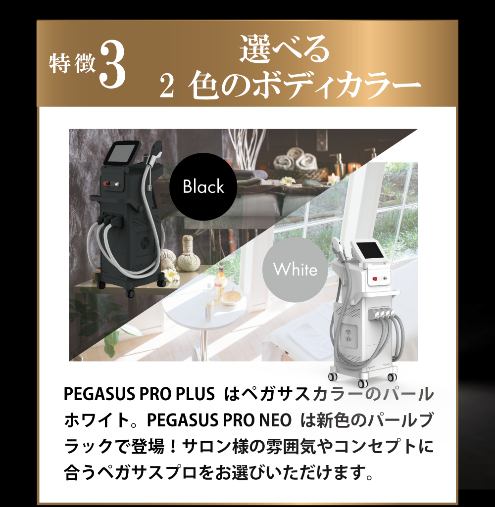 2色のボディカラー