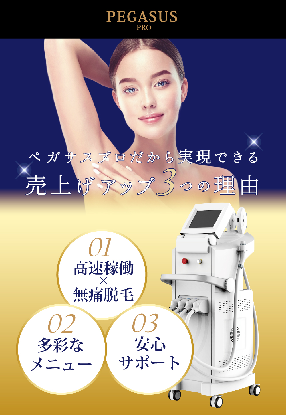 ペガサスカタログ版-ファーストビュー